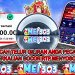 MEI303 BUKTI STARLIGHT PRINCESS – Rp 3.500.000 LUNAS!