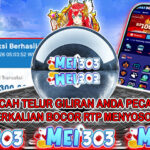 MEI303 BUKTI STARLIGHT PRINCESS – Rp 6.300.000 LUNAS!