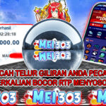 MEI303 BUKTI STARLIGHT PRINCESS – Rp 3.600.000 LUNAS!