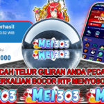 MEI303 BUKTI STARLIGHT PRINCESS – Rp 5.000.000 LUNAS!