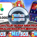 MEI303 BUKTI STARLIGHT PRINCESS – Rp 13.500.000 LUNAS!
